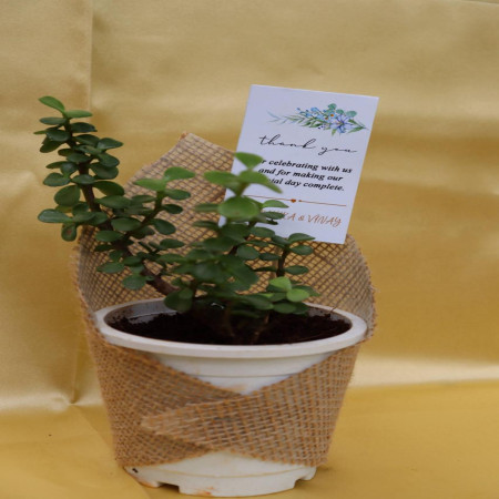 Jade Wrapped With Jute