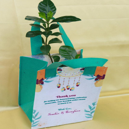 Sapling With Eco Friendly Customized Bag
